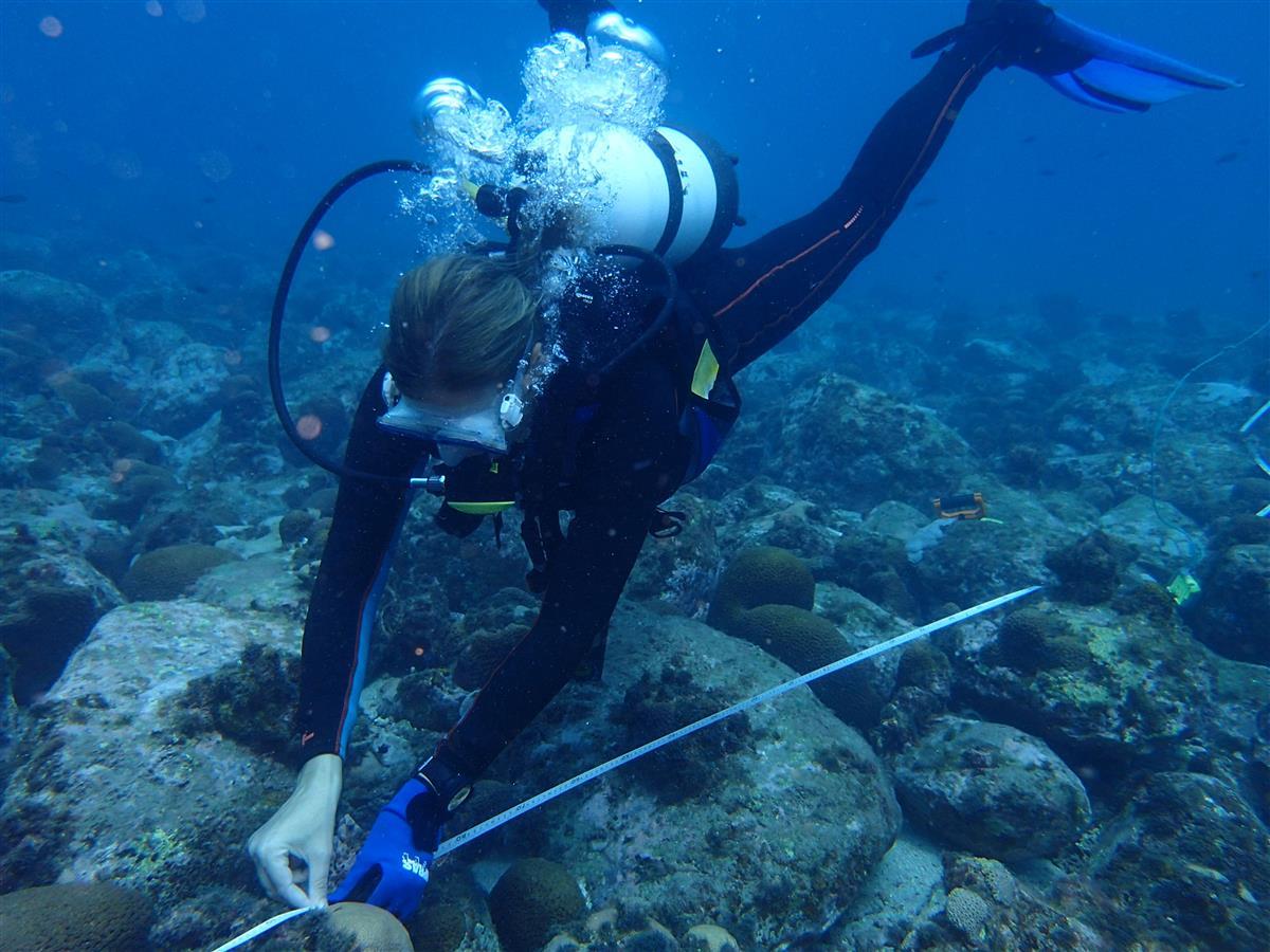 Putting reef check transect in place, Principe