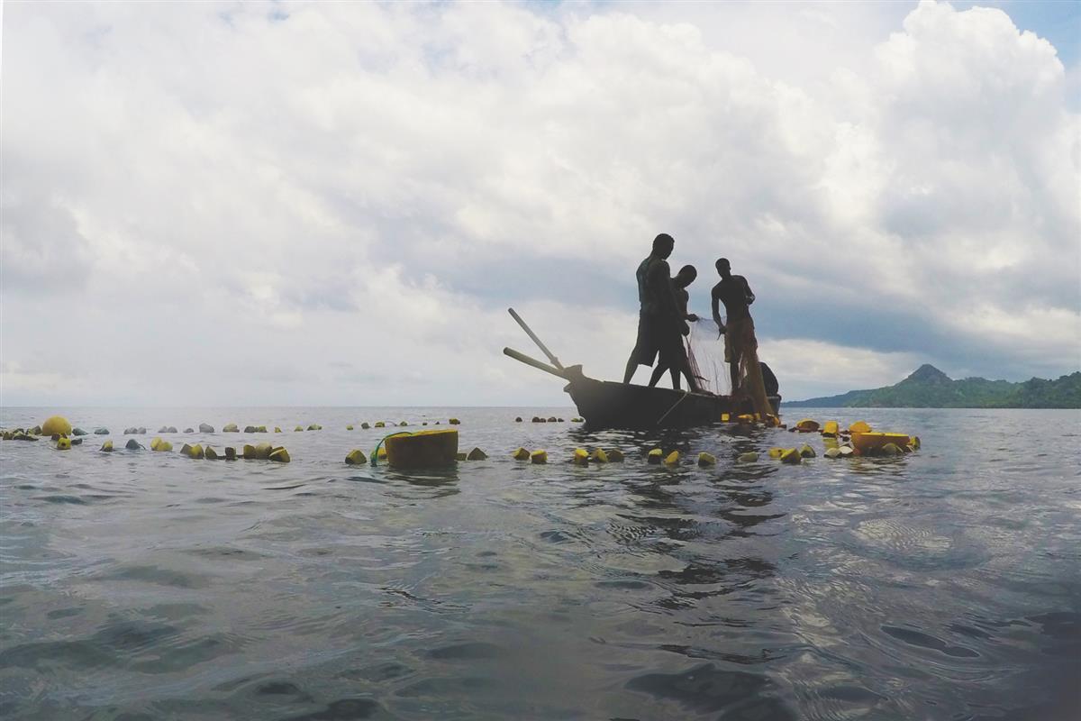 Unsustainable Fishing Practices, Bahia das Agulhas, Principe