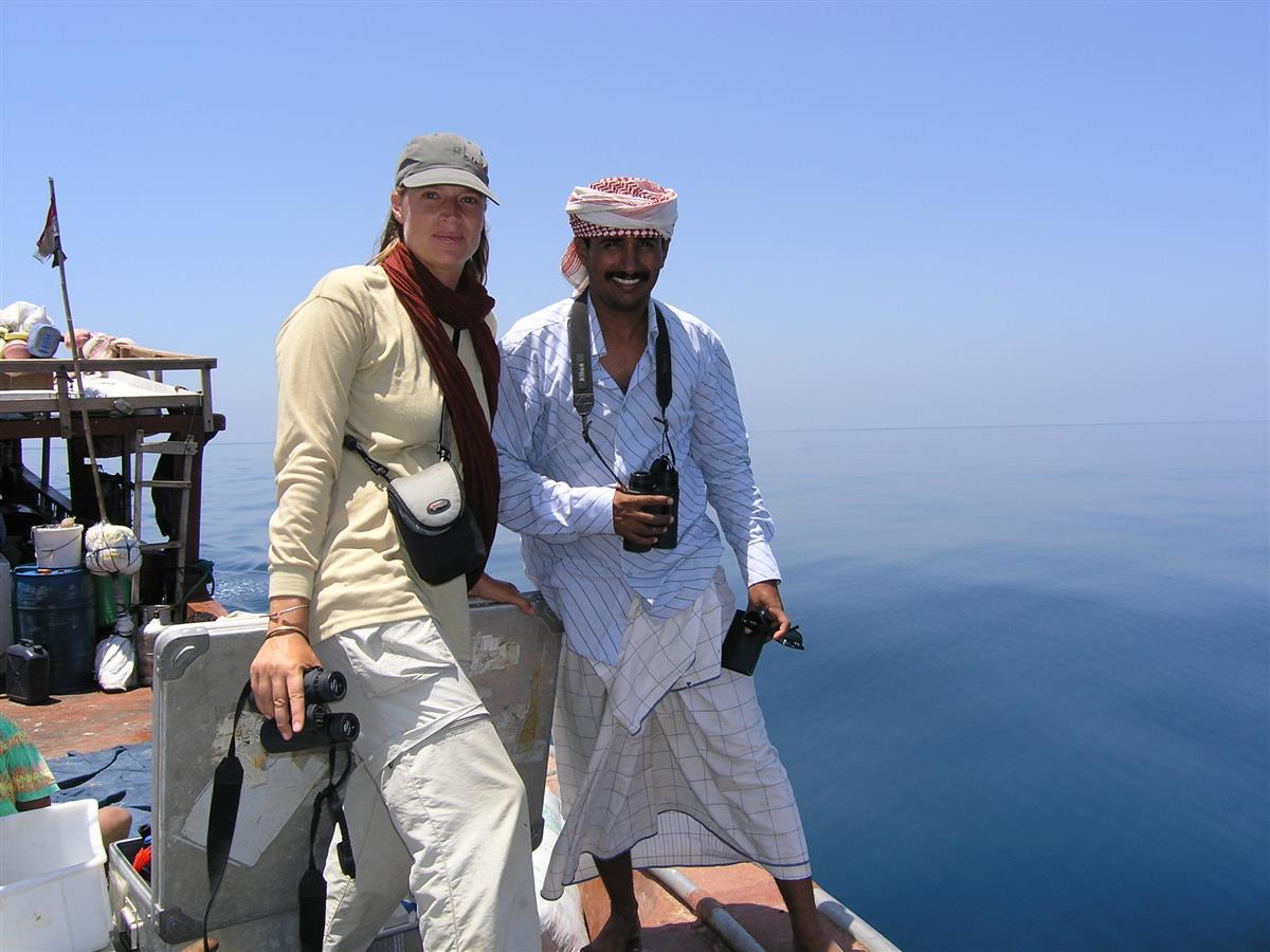 Sea Bird Monitoring, Socotra