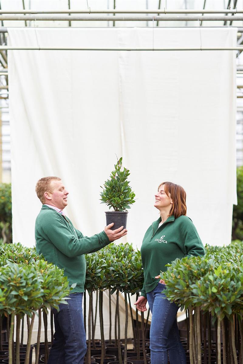 Floriestoire de [N]Elie & Marian Devisch, Laurica-plants[/N]