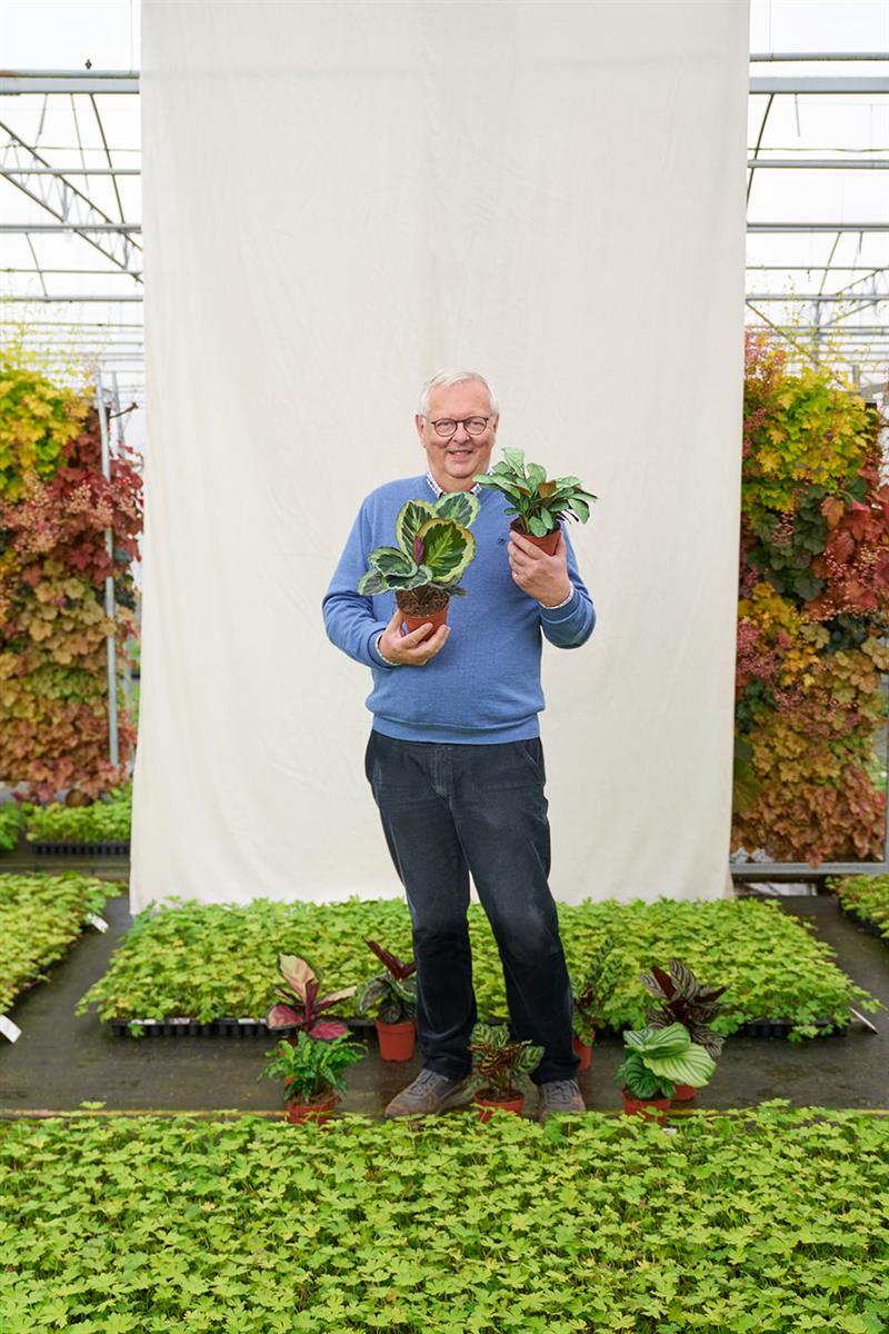 Floriestoire de [N]René Denis, Denis Plants[/N]