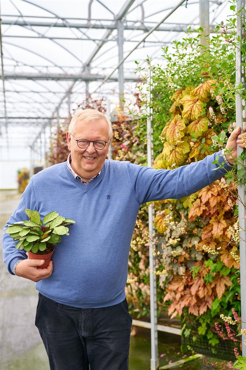 Floriestoire de [N]René Denis, Denis Plants[/N]