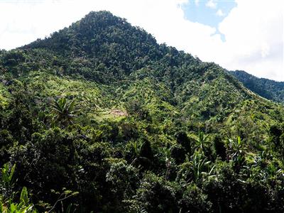 Creating a buffer zone around the Betampona Reserve