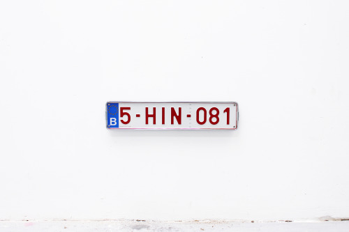 5HIN081,  2015 - Benny Van den Meulengracht- Vrancx 