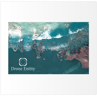 Drone Entity Business Card