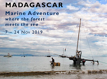 Marine Group Travel 2019 NW Madagascar 