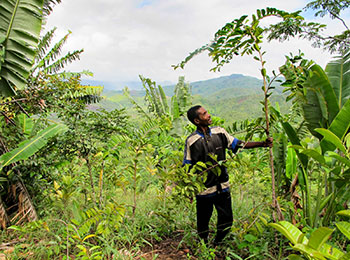 Madagascar: Community action on forest restoration towards a sustainable future