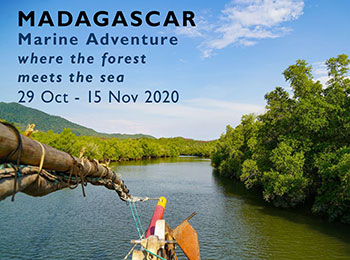 Marine Group Travel 2020 NW Madagascar