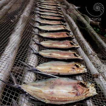 driedfish