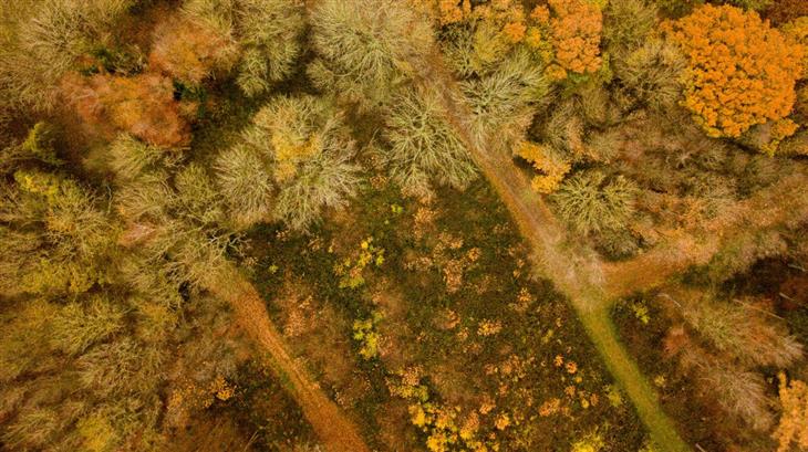 Herfst - Landschappen